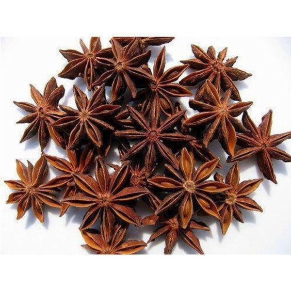Thakkolam,Illicium Verum,Takkolam,Anasphal,Illiciaceae - Image 2